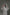 Soft tulle mantilla wedding veil for a timeless bridal look