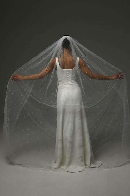 Romantic pearl cathedral veil flowing behind the bride.