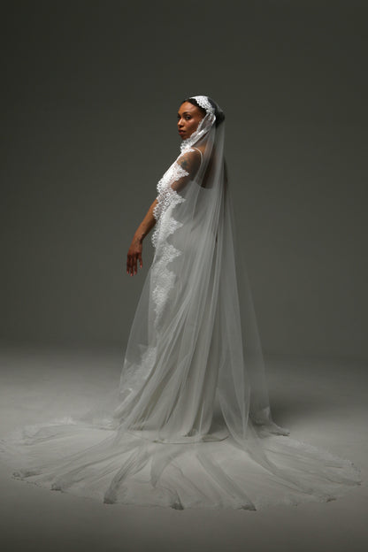 Long cathedral veil with delicate floral lace framing effect.