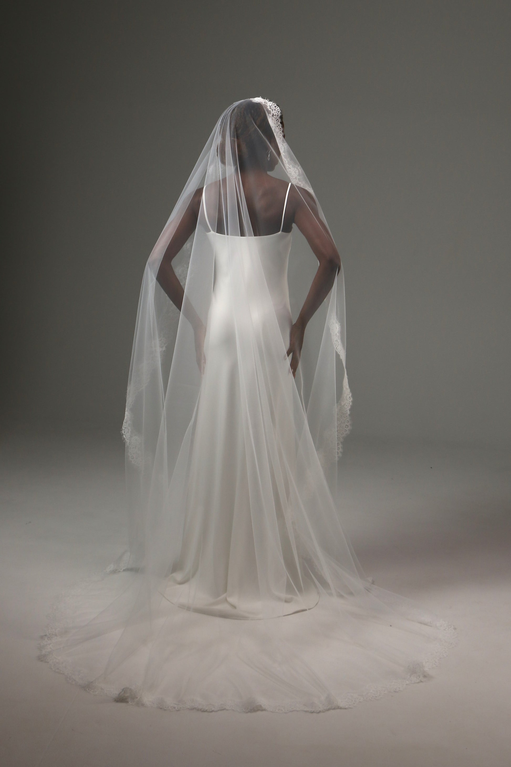 Cathedral bridal veil beautifully framing the bride's silhouette.