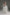 Juliet cap mantilla wedding veil with corded lace edge in royal length