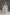 One tier mantilla wedding veil with floral lace trim