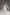 Luxury royal length wedding veil with Juliet cap styling