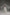 Minimalist chapel length wedding veil with clean raw edge styling in a professional bridal studio portrait.