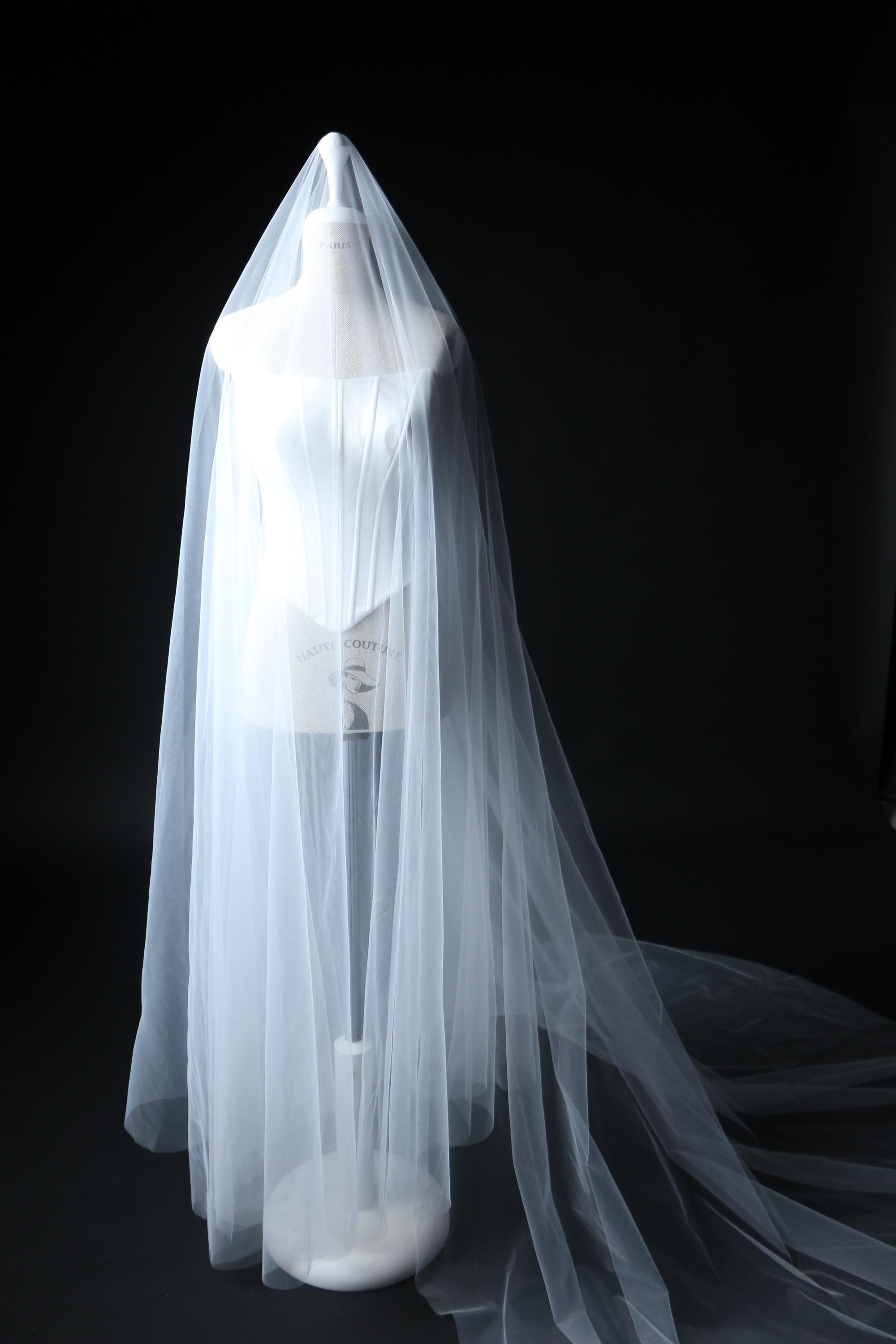 Minimalist Cathedral Veil 108 Inch, Two Tier Blusher Veil Raw Edge, Soft Tulle Bridal Veil, Light Elegant Veil